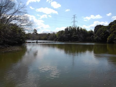 大安トラウトレイク 釣果